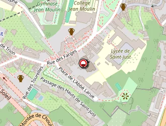 Carte de Angelic à Lyon