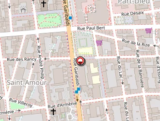 Carte de Antoine Naz à Lyon