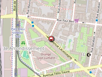 Carte de Marques Anselmo à Lyon