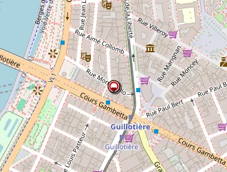 Carte de Smart Phone Telephonie à Lyon