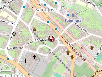 Carte de Dumolard Eric à Lyon