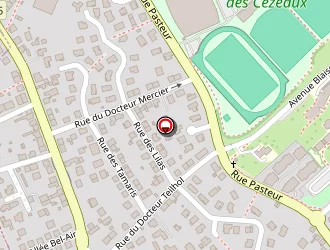 Carte de Odoul Robert à Aubière