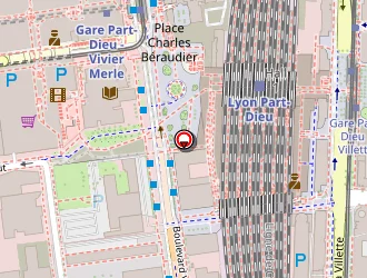 Carte de Danton à Lyon