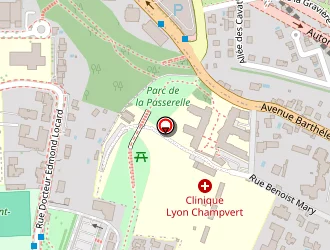 Carte de Institut Nailsworld à Lyon