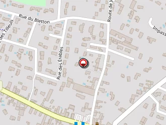 Carte de Pizza Mario à Pusignan