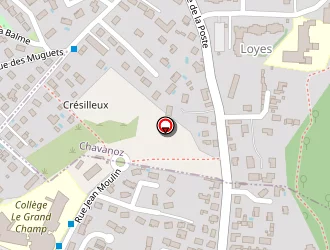 Carte de Halep Ahmet à Pont-de-chéruy