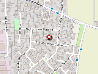 Carte de Penin Patrick à Décines-charpieu