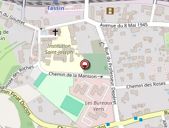 Carte de Gpartner à Tassin-la-demi-lune