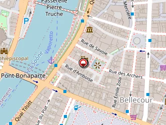 Carte de Martine Patris Optic à Lyon