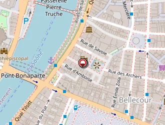 Carte de Institut Herriot à Lyon