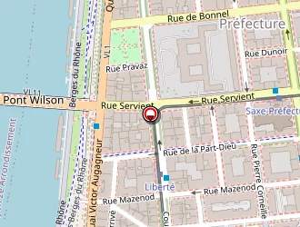 Carte de Souffrance Et Travail à Lyon