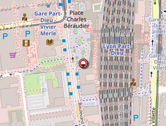 Carte de Amallia Organisation à Lyon