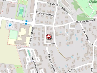 Carte de Ces Temps Ci à Meyzieu