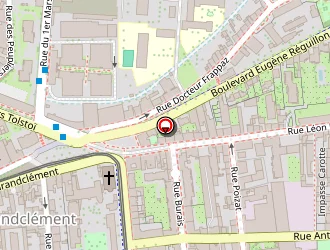 Carte de La Fée Dorée à Villeurbanne