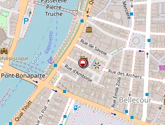 Carte de Les Célestins à Lyon