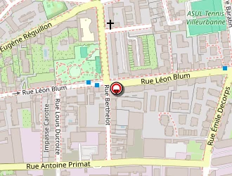 Carte de Binstzik Bruno à Villeurbanne