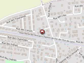 Carte de Peyratout Romain à Pusignan