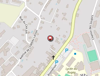 Carte de Pithoud Patrick à Belley