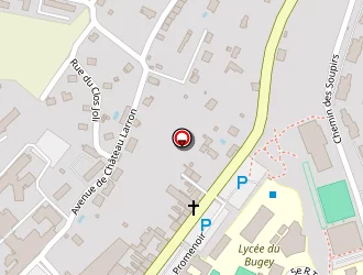 Carte de Marmillon Pierre à Belley