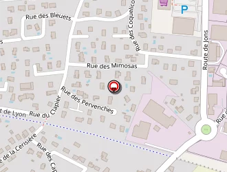 Carte de D Andrea Carminé à Pusignan