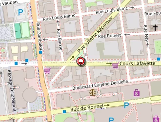 Carte de Alpae Conseil à Lyon