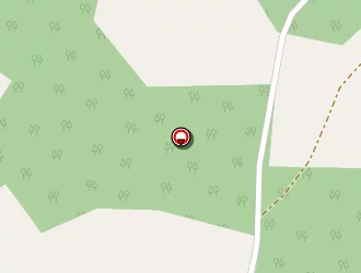 Carte de Camandone Aurélien à Vayres