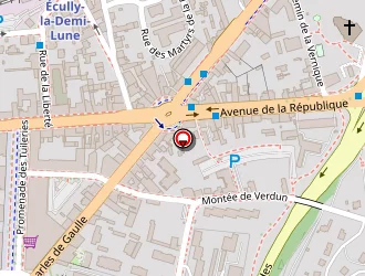 Carte de Elodie Bertrand à Tassin-la-demi-lune