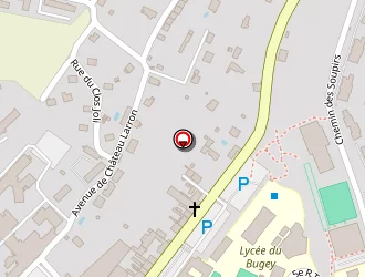 Carte de Murgia Raphael à Belley