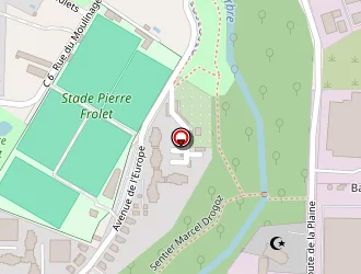 Carte de Erard à Chavanoz