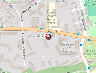 Carte de Burellier Miguel à Lyon