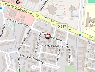 Carte de Gonzalez Vincent à Meyzieu