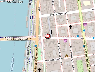 Carte de Roybon Florence à Lyon