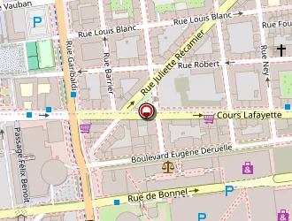 Carte de Immo Pro à Lyon