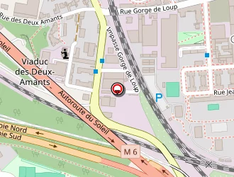 Carte de Au Jardin Fleuri à Lyon