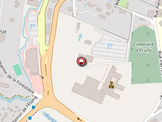 Carte de Cave Du Moulin à Écully