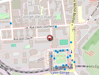 Carte de Martium Prudencio à Lyon