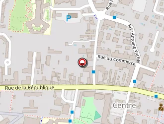 Carte de Vivre A Domicile à Meyzieu