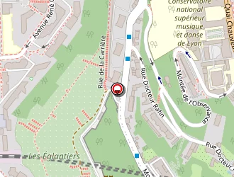 Carte de Ammari Hichem à Lyon