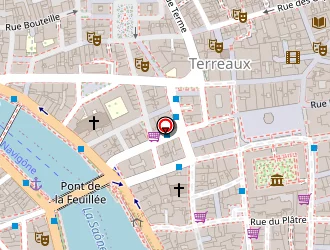 Carte de Nulle Pierre Ailleurs à Lyon