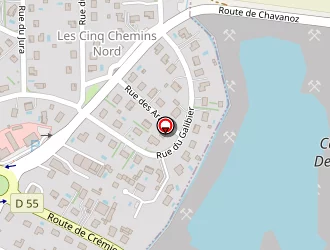 Carte de B L T E à Chavanoz