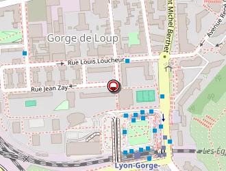 Carte de Maison Patural à Lyon