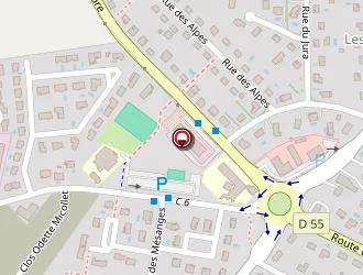 Carte de Halilovic Elvin à Chavanoz