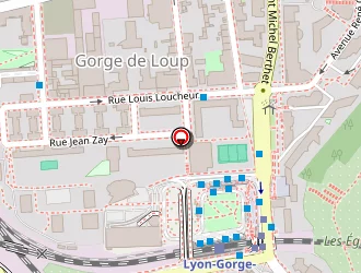 Carte de Hamadi Habib à Lyon