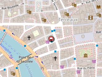 Carte de Oiseaux De Nuit à Lyon