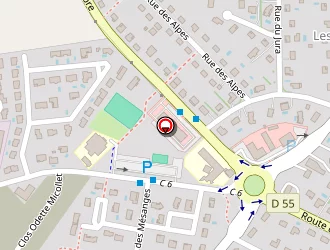 Carte de Garric Guy à Chavanoz