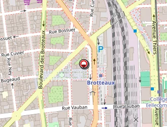 Carte de Café Du Peintre à Lyon