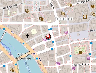 Carte de Pharmacie Du Serpent à Lyon