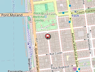 Carte de Nani à Lyon