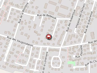 Carte de Robin Nicole à Lempdes