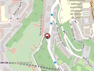 Carte de Voirin Georges à Lyon